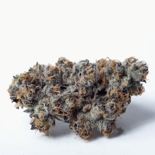 Lumpy's Flowers - Lumpy's Flowers | Gary Payton | 7g Mylar Bag - 1