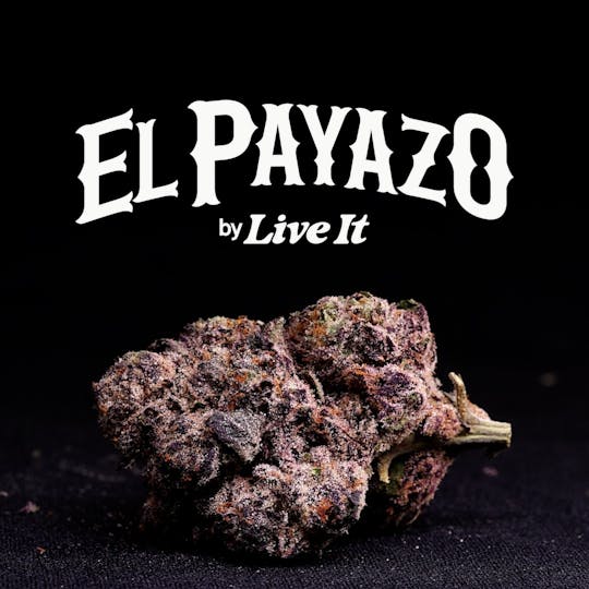 Live It - LIVE IT BUDS | EL PAYAZO - 1
