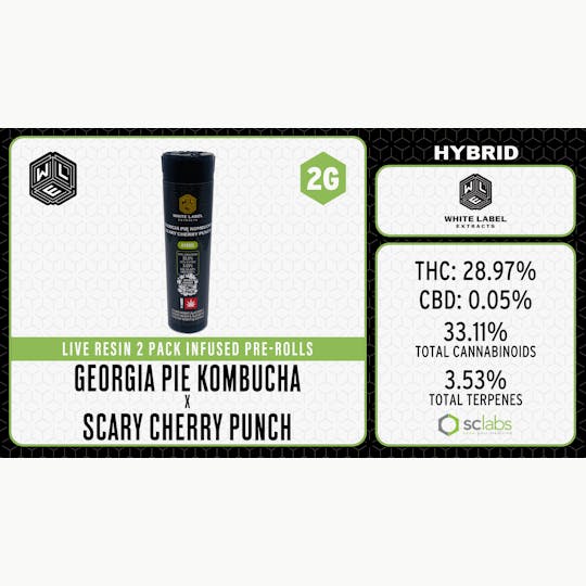 White Label Extracts - WLE | Georgia Pie Kombucha x Scary Cherry Punch | Infused Pre Roll | 2pk - 1