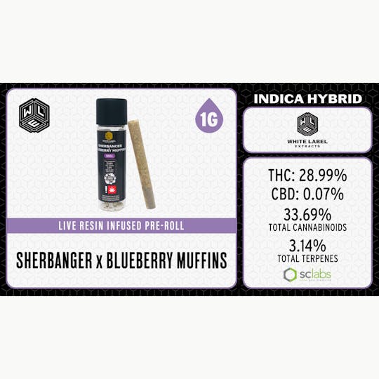 White Label Extracts - WLE | Sherbanger x Blueberry Muffins | Infused Pre-Roll | 1G - 1