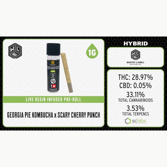 White Label Extracts - WLE | Georgia Pie Kombucha x Scary Cherry Punch | Infused Pre Roll | 1G - 1