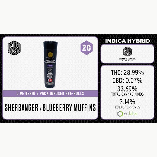 White Label Extracts - WLE | Sherbanger x Blueberry Muffins | Infused Pre-Roll | 2pk - 1