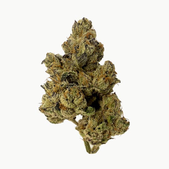 Resonant Cultivation - Stuffed Cherry Gelato - 1