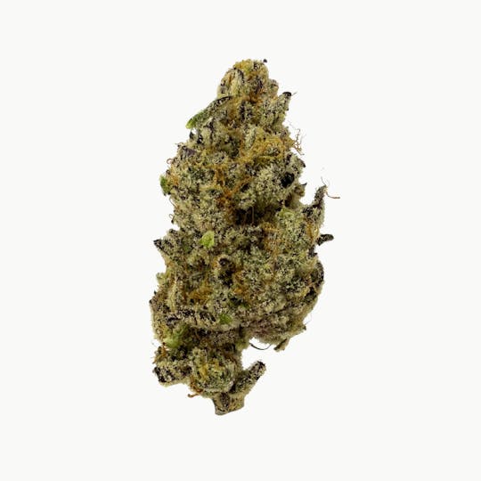 Resonant Cultivation - Platinum Garlic Breath - 1