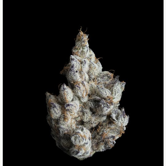 Allure - FKAFL | Exotic Indoor | Hybrid 36.18% THC - 1