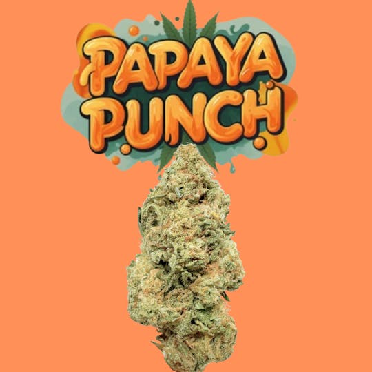 SUPPLY LA - Papaya Punch | Premium Flower | Limited Drop | 14g | Half Ounce - 1