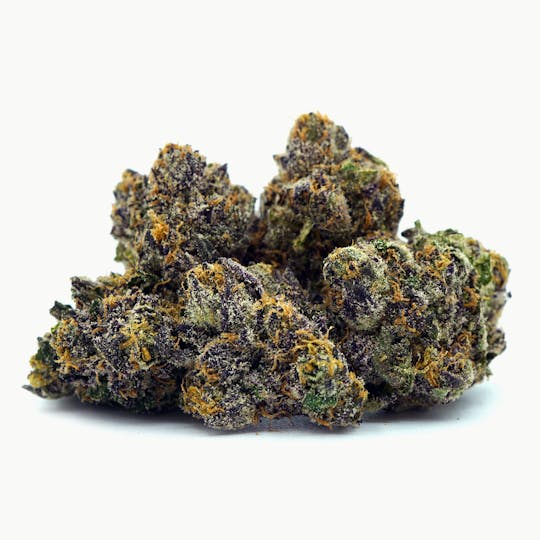 High Tide Organics - Sugar Bears Small Buds | Indoor 14g - 1