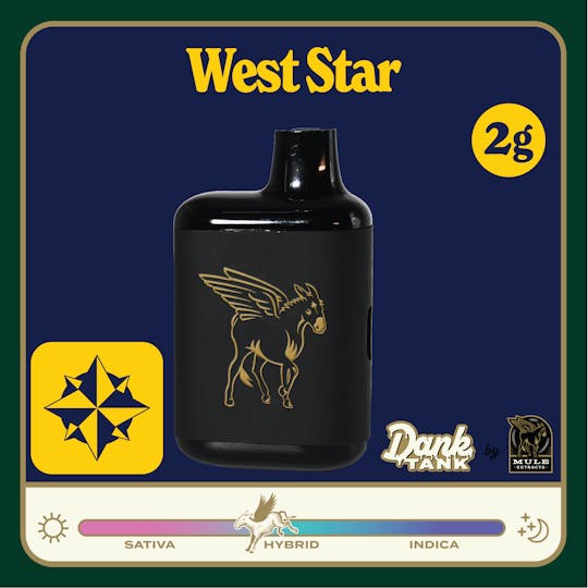 Mule Extracts - Mule - Runtz of Eden AIO 2g - 1