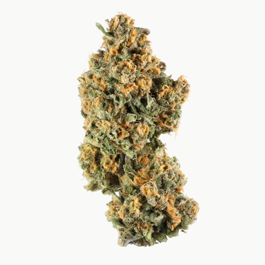 ITF - Iron Triangle Small Buds - 1