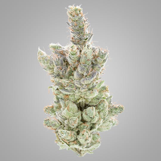 High Rise - Strawberry BeltShake | High Rise Cannabis - 1