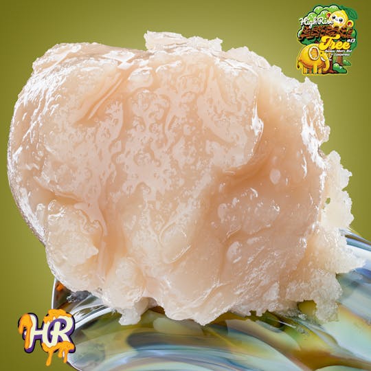 High Rise - Animal Tree #13 4g | High Rise Extracts - 1