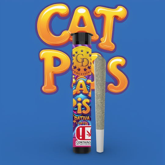 GD CANNABIS PROCESSING - 1G PRE-ROLL CAT PISS - 1