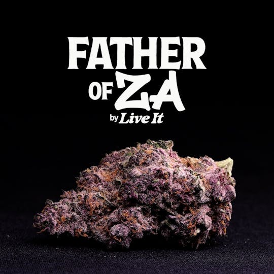 Live It - LIVE IT BUDS | FATHER OF ZA - 1
