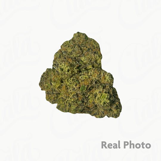 Stingers - Diorz - 7g - 1