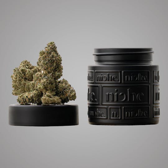 Niche - Cherry Runtz | 3.5 g - 1
