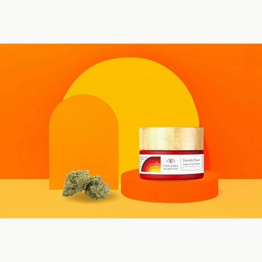 Firelands Scientific - Salty Watermelon 1 Day - 2.83G - Flower - 1