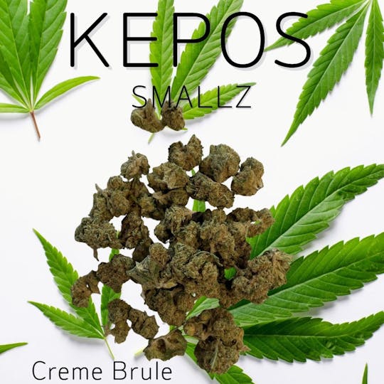 Nu Cannabis Brand - Kepos - Crème Brule SMALLS 28g - PREMIUM FLOWERS SMALLS - 1