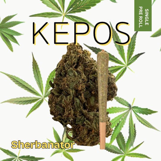 Nu Cannabis Brand - Kepos - Sherbanator 1.2g - PRE ROLL - 1