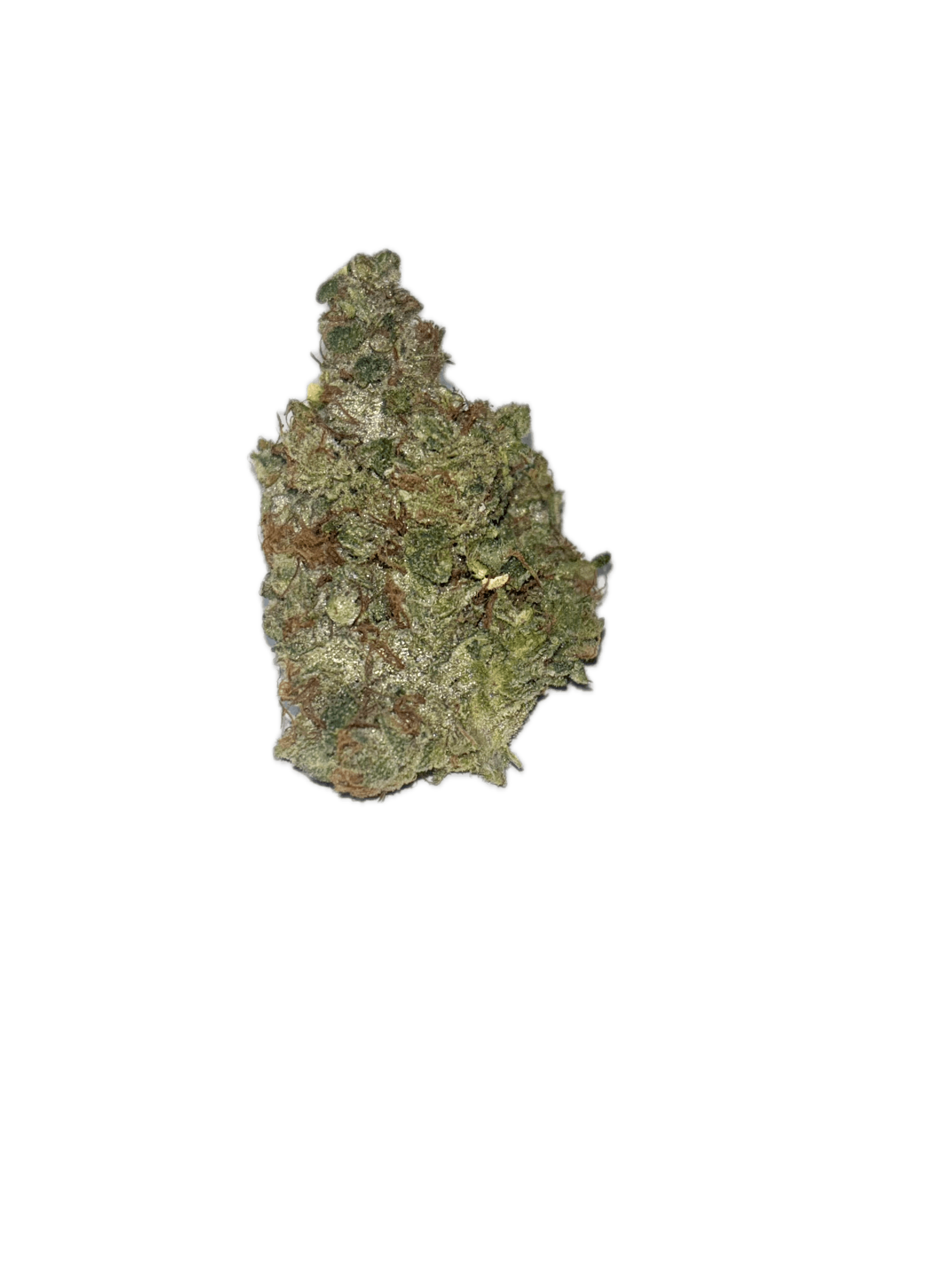 Dynastree - Razzle Dazzle I 80%I 20%S - 1