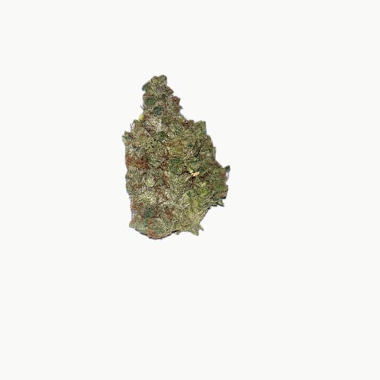 Dynastree - Razzle Dazzle I 80%I 20%S - 1