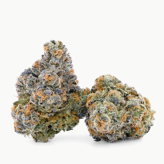 Fire Fresh Farms - Gelato Slump Flower Smalls - 1