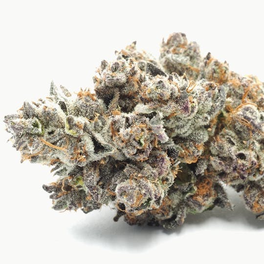 Inadaze - Inadaze | Twisted Monkey Premium 1/8 - 1