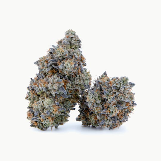 Fire Fresh Farms - VanillaZilla Flower - 1