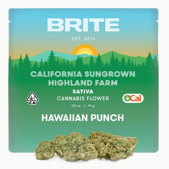 Brite Labs - BRITE Highland OCal Sun-Grown Flower (14g) - Sativa - Hawaiian Punch - 1