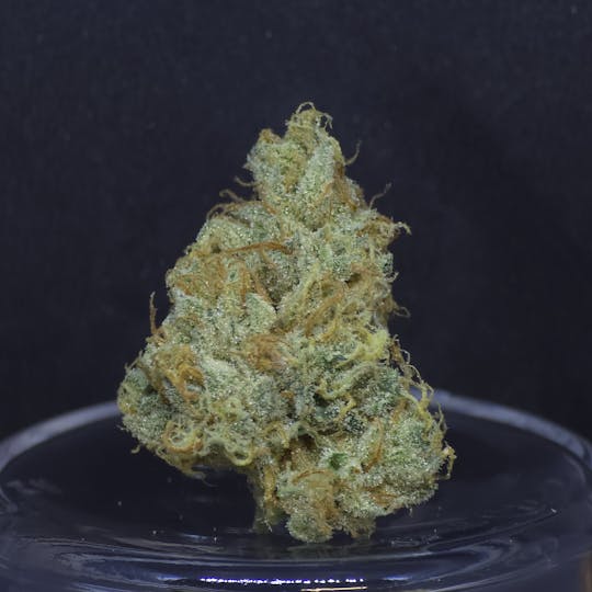BAM Alaska - The Kush .5g - 2 Pack - 1