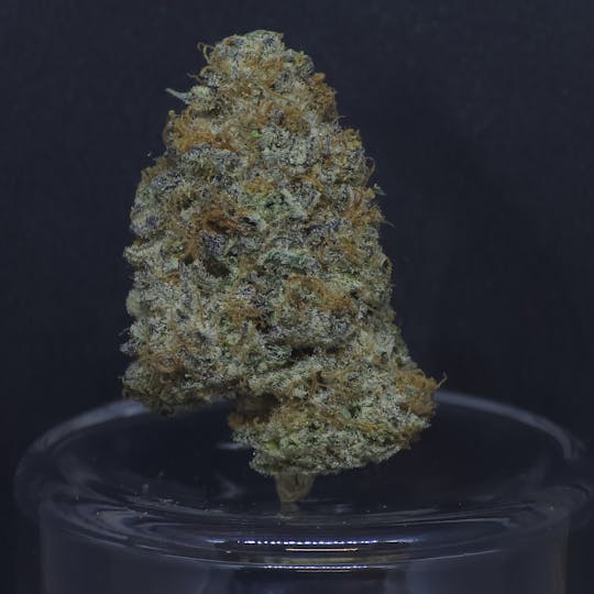 BAM Alaska - Spanish Moon 14g Flower - 1