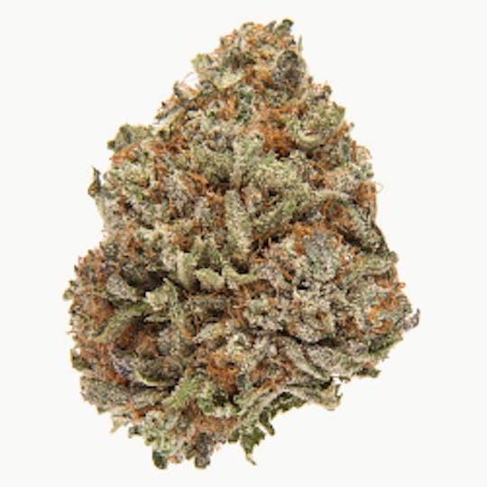 Moonlight Collective - Platinum LCG – 28g Smalls | Exotic Hybrid - 1