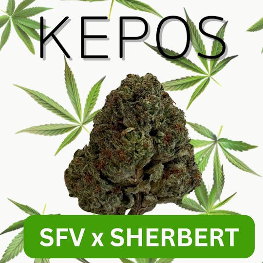 Nu Cannabis Brand - Kepos - Sherbert x SFV 28g - PREMIUM FLOWERS - 1