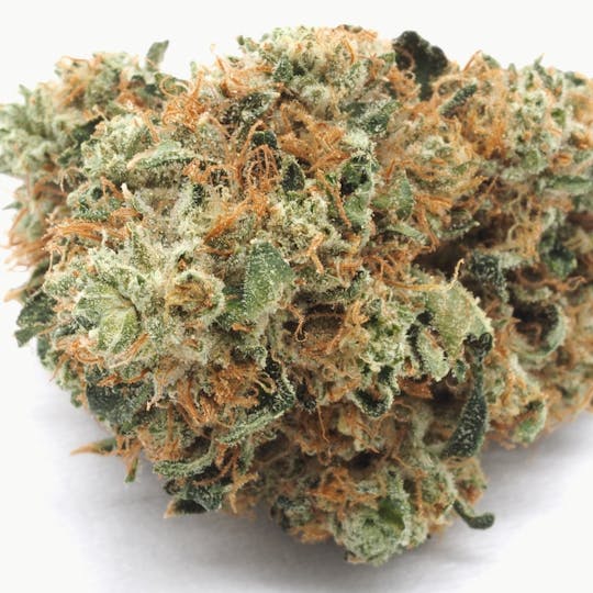 Inadaze - Inadaze | Godfather OG Premium 1/8 - 1