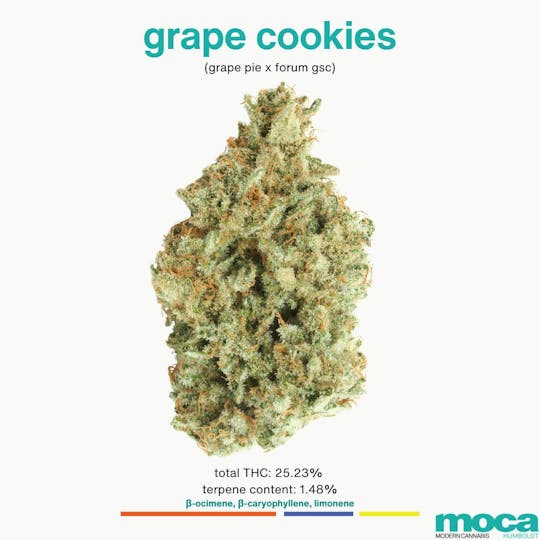 MOCA Humboldt - MOCA Flowers - 1/8th Jar - Grape Cookies - 1