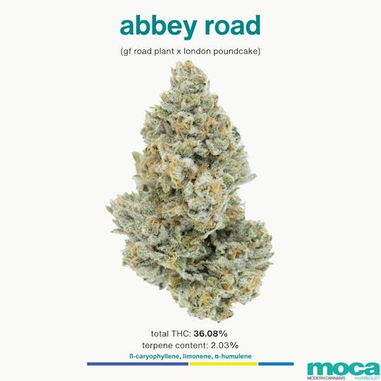 MOCA Humboldt - MOCA Flowers - 1/8th Mylar Bag - Abbey Road - 1