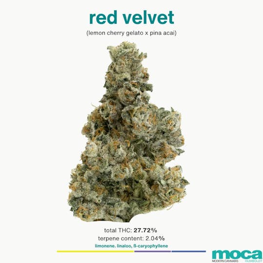 MOCA Humboldt - MOCA Flowers - 1/8th Mylar Bag - Red Velvet - 1