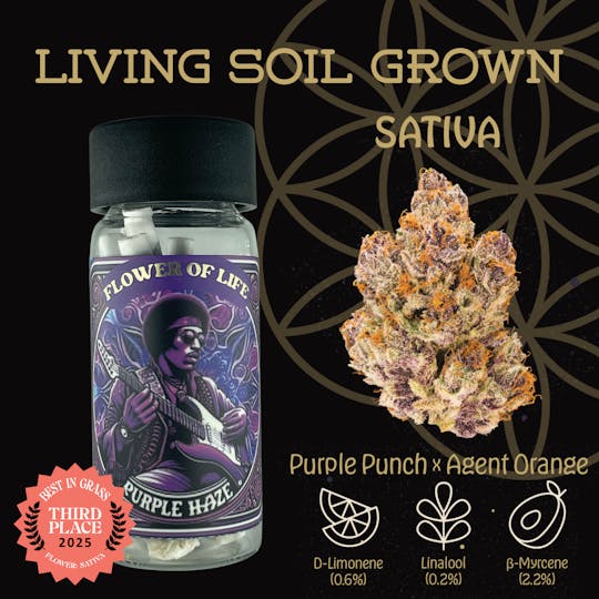 Flower of Life - Purple Haze | Preroll | Multipack | 2.5g - 1