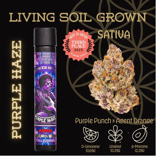 Flower of Life - Purple Haze | Preroll | 1g - 1