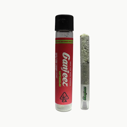 Ganjeez - 1.35G Infused PR-Watermelon - 1