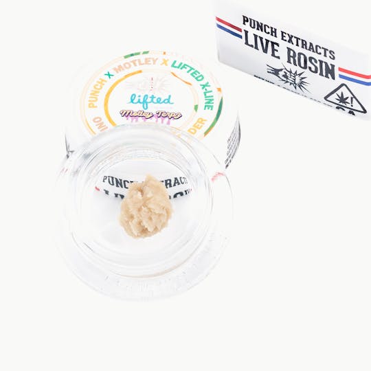 Punch Edibles & Extracts - Onion Breath Tier 4 Live Rosin Cold Cure Badder (1g) - 1