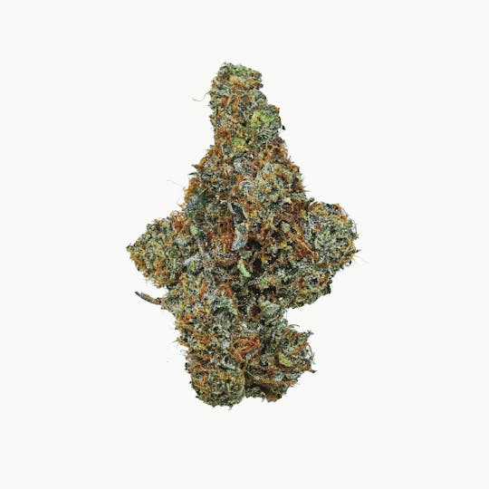 Prūf Cultivar - Prūf Cultivar | Sunshine Lime | Flower | 7G - 1