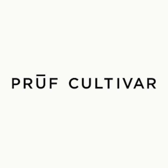 Prūf Cultivar - Prūf Cultivar | Gassed Out #1 | Flower | 3.5G - 1
