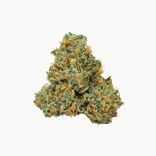 Prūf Cultivar - Prūf Cultivar | Key Lime Guava #10 | Smalls | 14G - 1