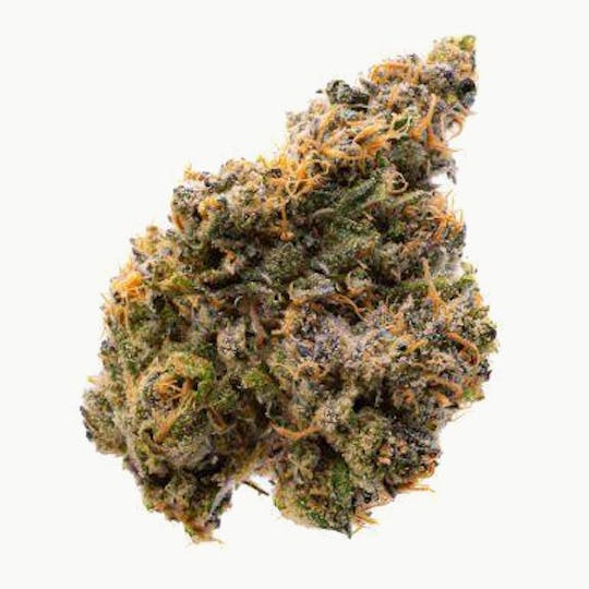 Prūf Cultivar - Prūf Cultivar | Banana Runtz #5 | Flower | 28G - 1