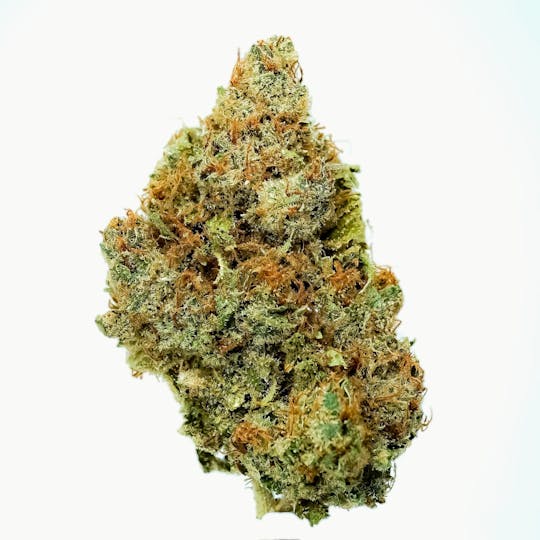 Prūf Cultivar - Prūf Cultivar | Banana Fudge Pop | Smalls | 7G - 1