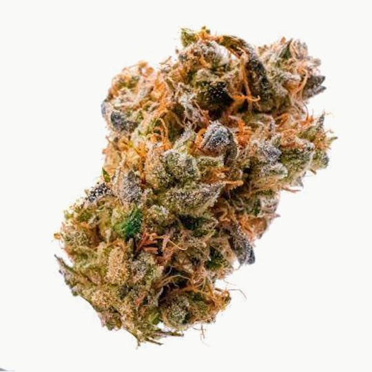 Prūf Cultivar - Prūf Cultivar | Apple Empanada | Smalls | 7G - 1