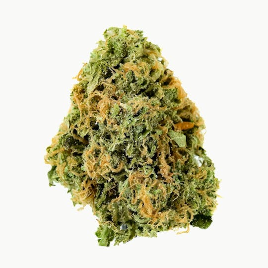 Prūf Cultivar - Prūf Cultivar | oZai | Smalls | 14G - 1