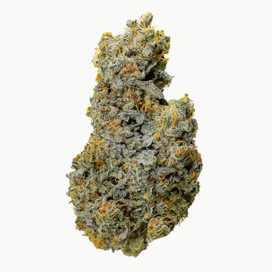Prūf Cultivar - Prūf Cultivar | Piescream #8 | Flower | 14G - 1