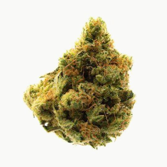 Prūf Cultivar - Prūf Cultivar | TriDog | Flower | 14G - 1