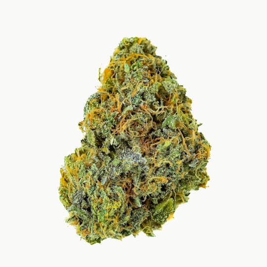Prūf Cultivar - Prūf Cultivar | Zsunami #12 | Flower | 28G - 1